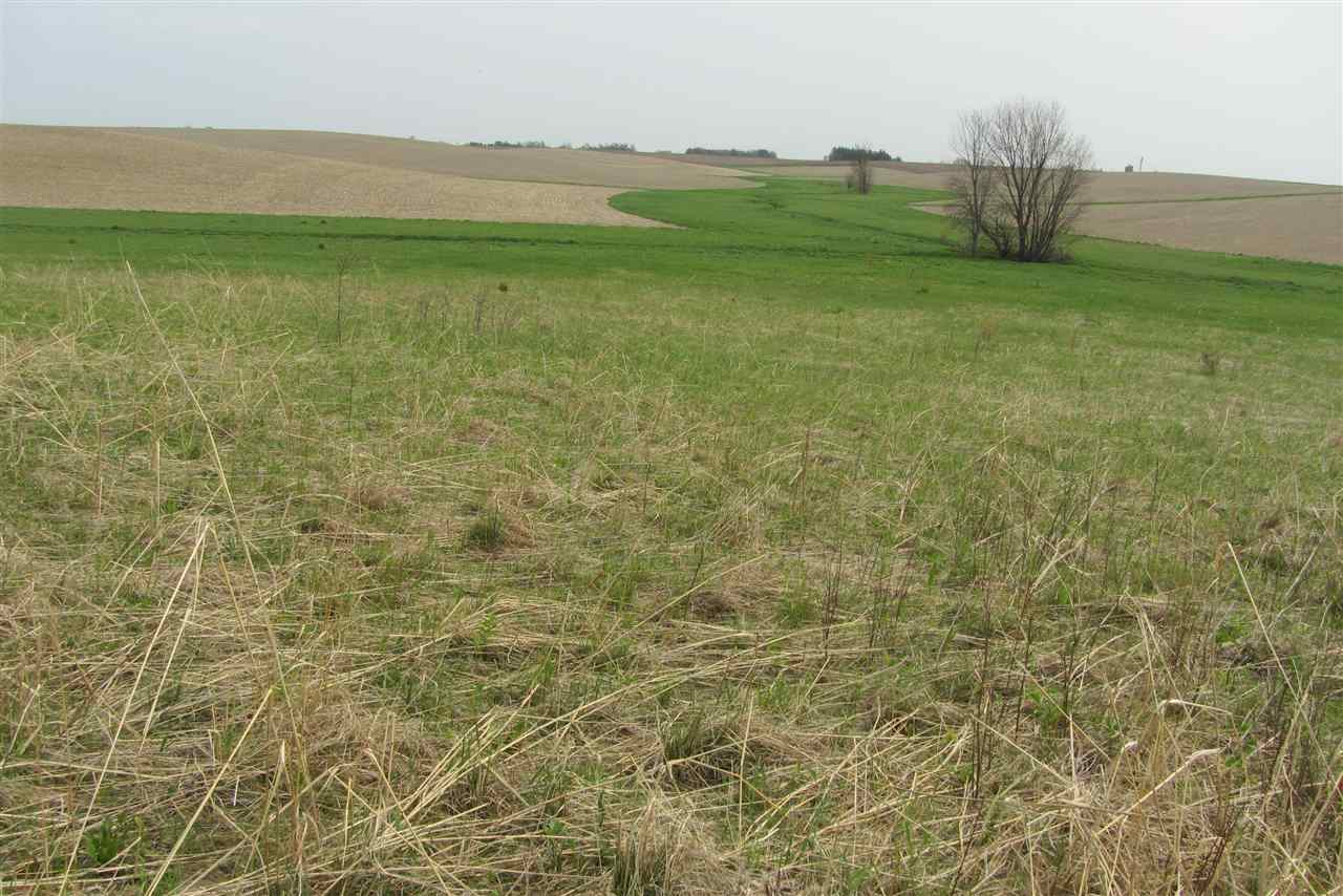 Property Photo 23