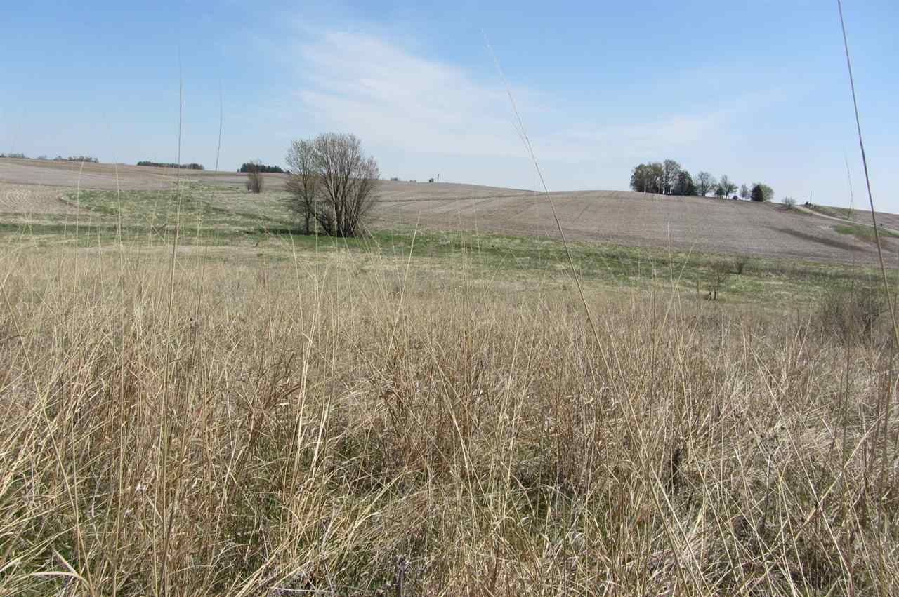 Property Photo 43